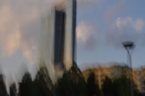 foto mosse milano regione lombardia 2020 0060b